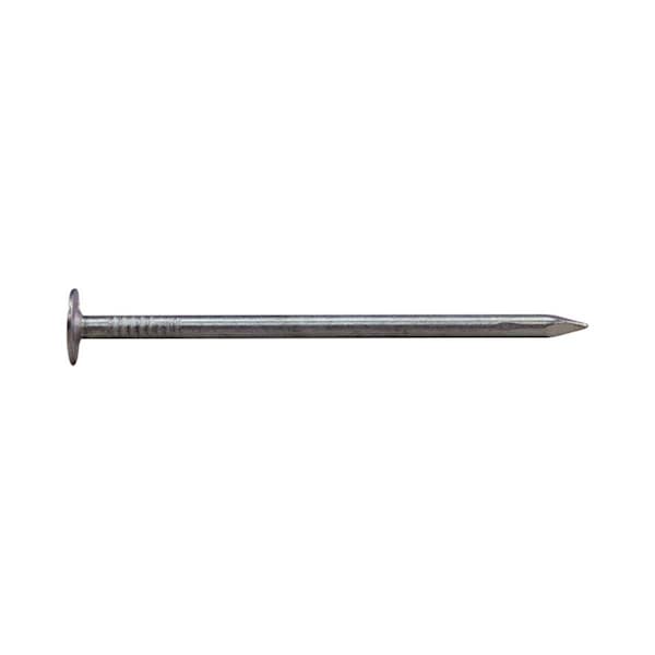 National Nail 1.75 in. 5 lbs EG Roofing Nail 5696703 - main